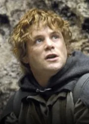 Samwise<br>gamgee